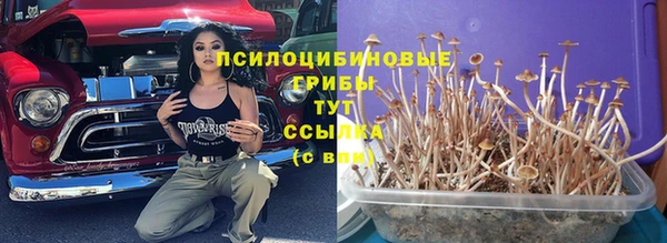 герыч Баксан