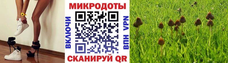 Галлюциногенные грибы Psilocybine cubensis  маркетплейс как зайти  Жирновск  как найти  